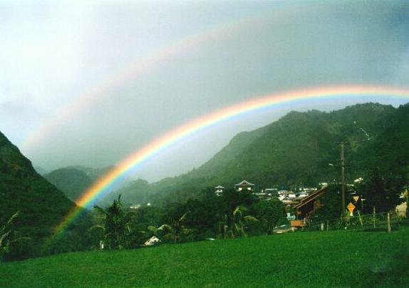 Hawaiian Rainbow